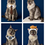 Custom Pet Vintage Yearbook Portrait | Museum-Grade Photo Print - 4