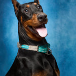 Custom Pet Vintage Yearbook Portrait | Museum-Grade Photo Print - 11