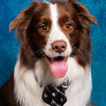 Custom Pet Vintage Yearbook Portrait | Museum-Grade Photo Print - 3